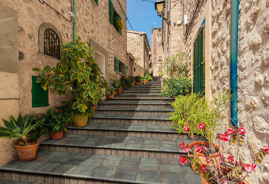 D´ANTICATTO MUSCHIO 22,5x22,5 · PELDAÑO CURVO D´ANTICATTO MUSCHIO 22,5x33/4