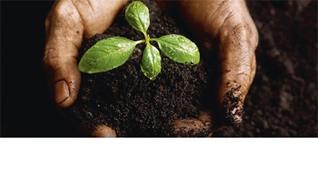 IMAGEN ENVIRONMENTAL AWARENESS