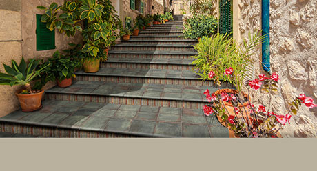 D´ANTICATTO MUSCHIO-22,5x22,5-Ceramica-Natucer