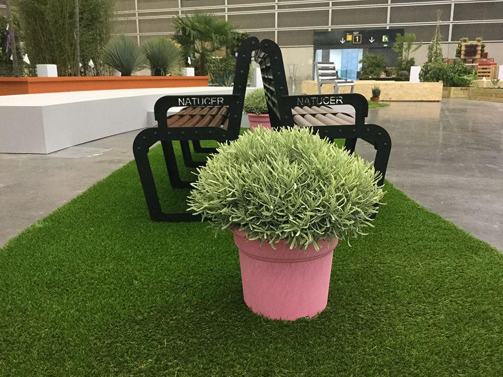 Imagenes Iberflora 2015