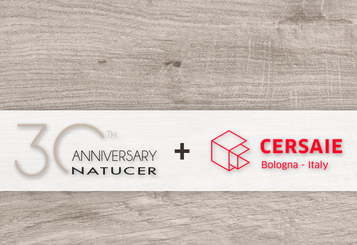 CONTINUAR LEYENDO SOBRE Novedades Cersaie 2019