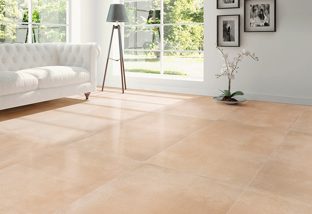 Imagenes New Memory Collection