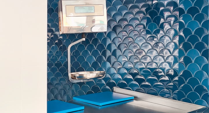 CONTINUAR LEYENDO SOBRE Pescadería Squama