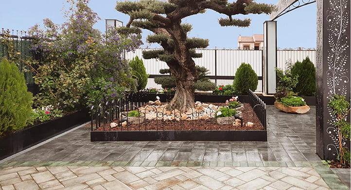 CONTINUAR LEYENDO SOBRE Reforma Salones La Olivina