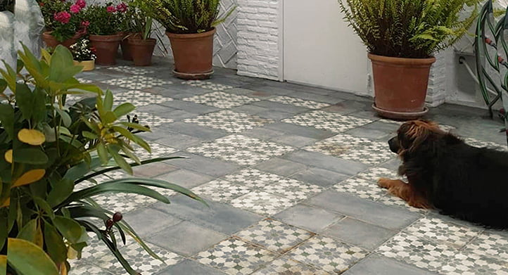 CONTINUAR LEYENDO SOBRE Terraza D´Anticatto