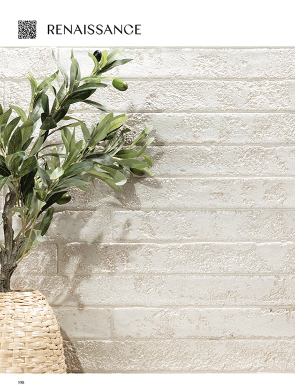 EXPLODED RENAISSANCE