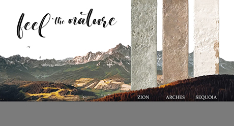 Portada Video Colecciones