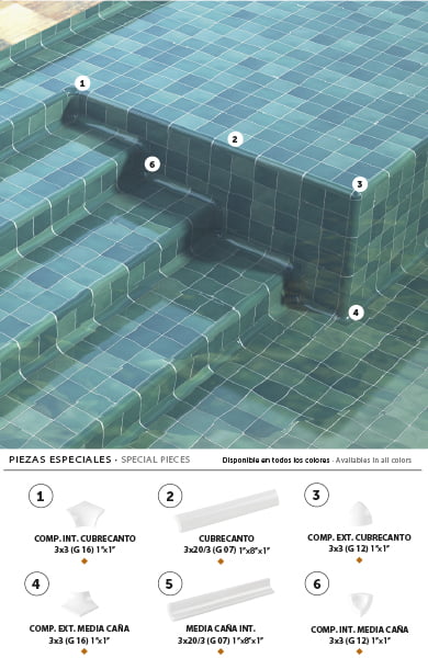 Pool Porc Piezas Especiales