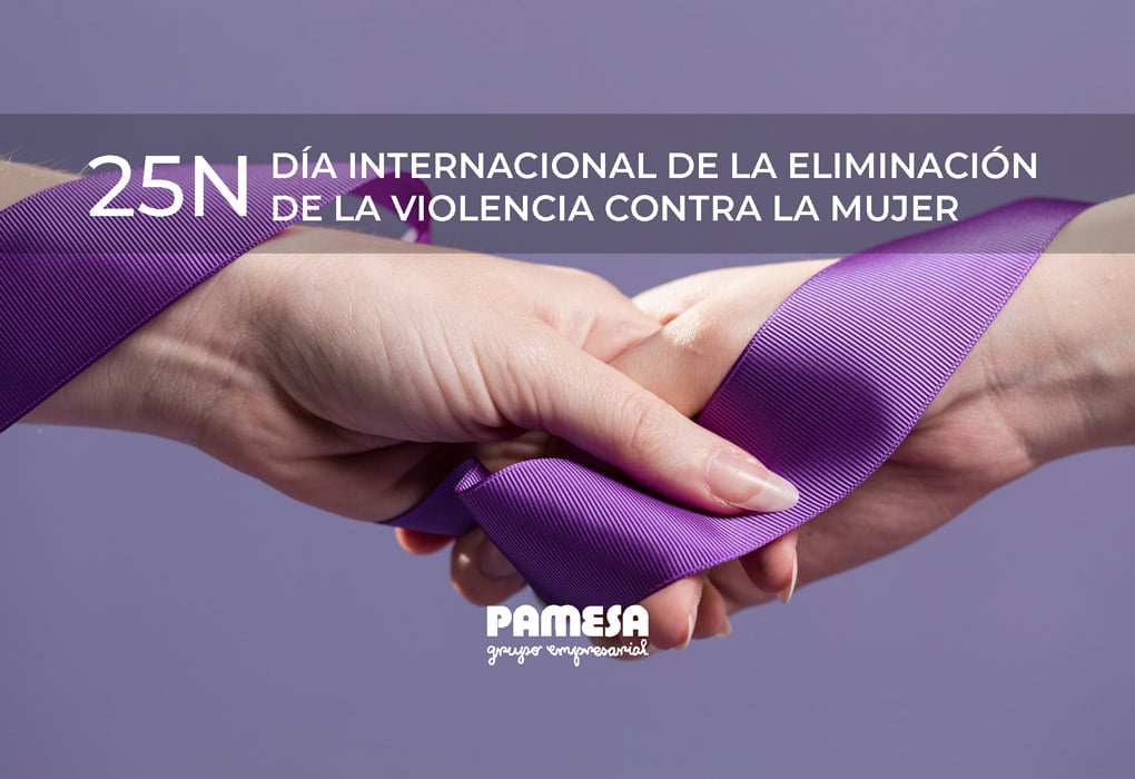 25 de noviembre: Día Internacional de la Eliminación de la Violencia contra la Mujer